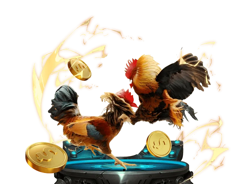 Đội ngũ hỗ trợ chuyên nghiệp